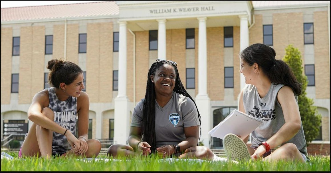 Study group on the lawn