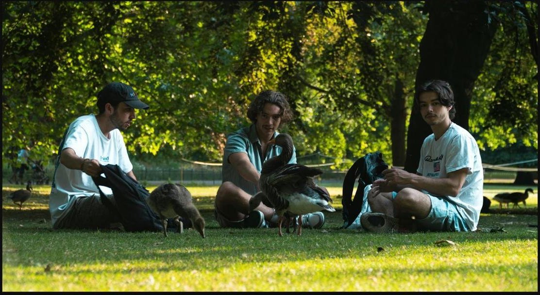 An afternoon in the park